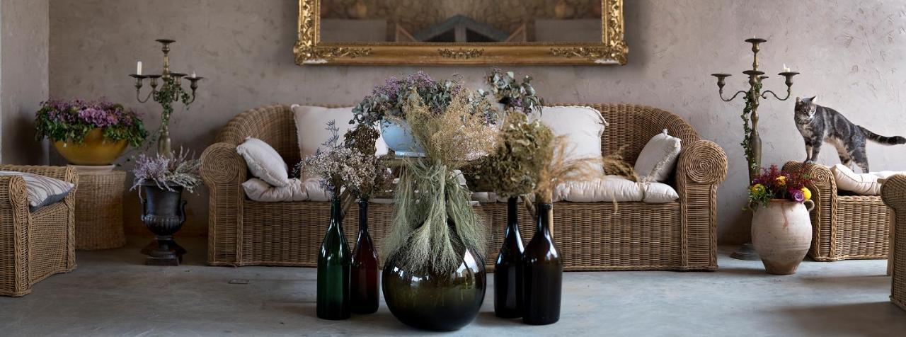 Domaine D'Egenia Villa Roussillon en Isere Eksteriør billede